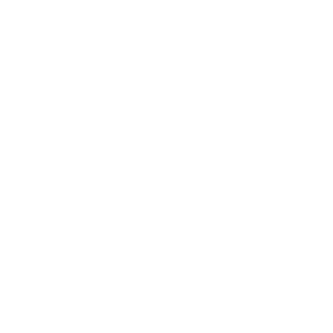 Budor logo hvit